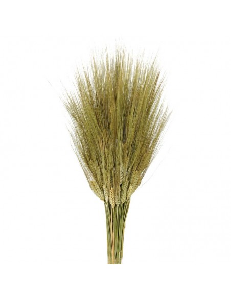 copy of Trigo (Triticun) natural oscuro 200g