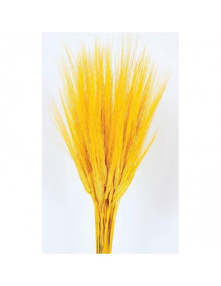 copy of Trigo (Triticun) natural oscuro 200g