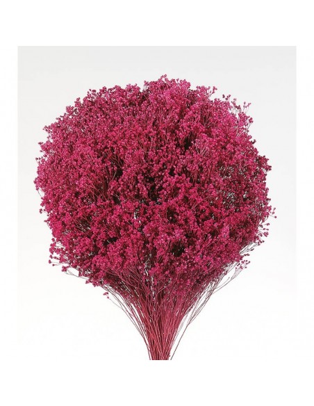 brooms blum preservado fucsia oscuro 150g