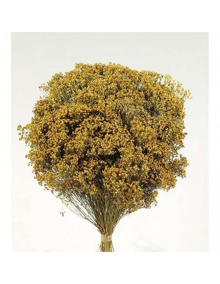 brooms blum seco natural 100gr - 120gr