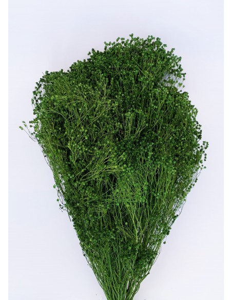 Brooms blum seco verde musgo 100g