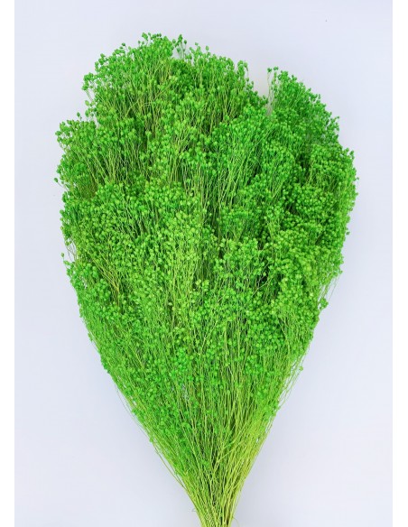 Brooms blum seco verde claro 200g