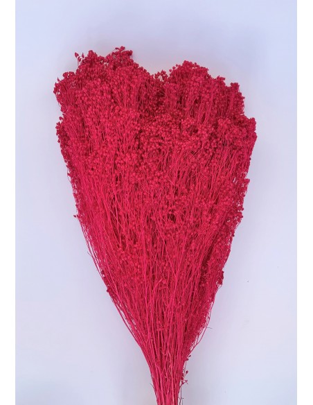 Brooms blum seco fucsia 100g