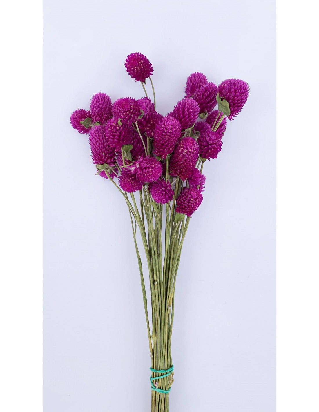 Jarrón ZEUS | Flores Preservadas & Siemprevivas Lilas