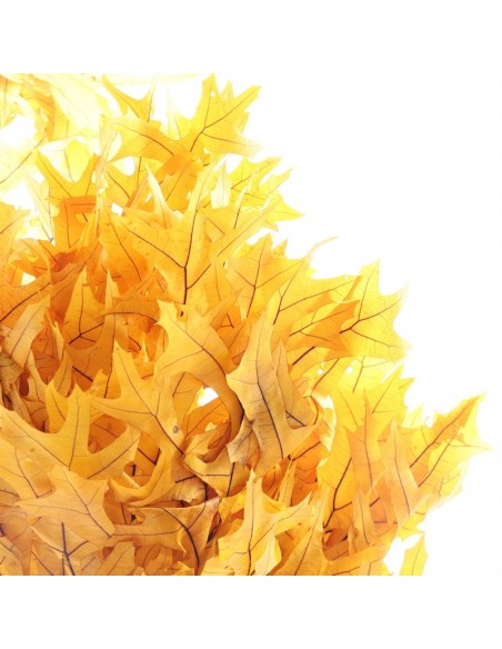 Eik amarillo ocre 150g