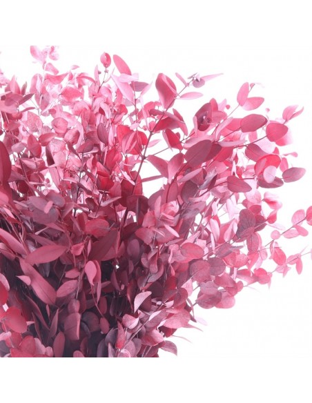 Eucalipto gunny rojo120g