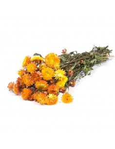 Helichrysum naranja 100g
