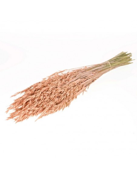 Avena sativa salmon 200g