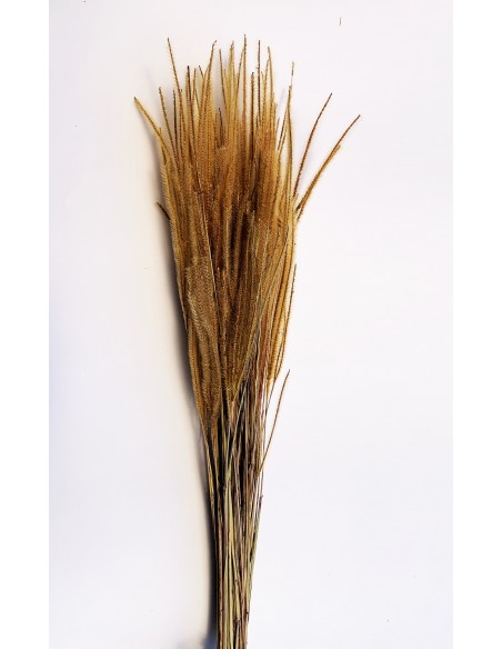 Ouro preservado natural