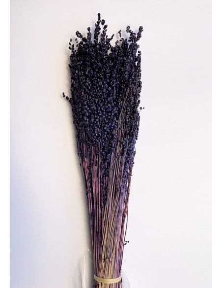 Briza mini purpura 80gr