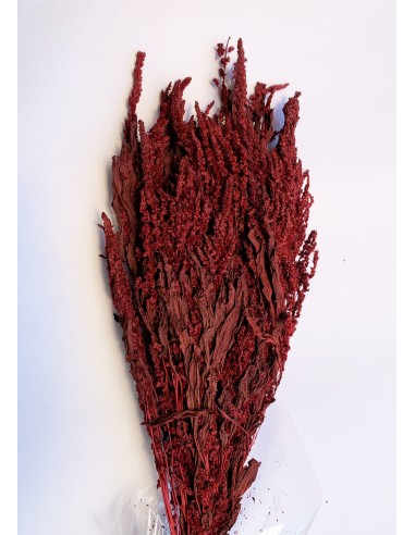 Amaranthus recto preservado rojo 150gr