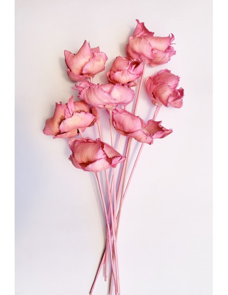 Palm cap rosa medio 40 x 8-10 pcs