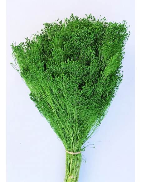 Brooms blum seco verde medio 200g