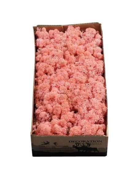 Musgo Finlandés Preservado Rosa Claro