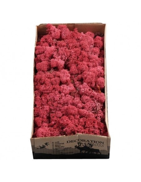 Musgo finlandés Fucsia 500g