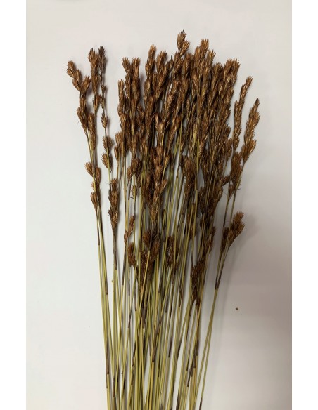 Thatch Natural 80cm 50u