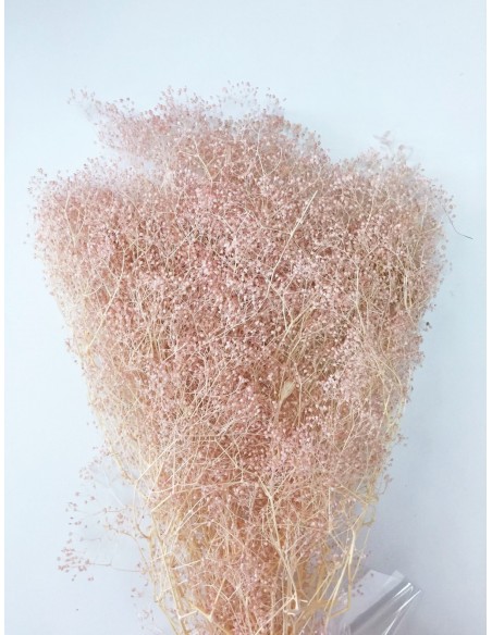 Gypsophila preservada mini Rosa Nude 100g