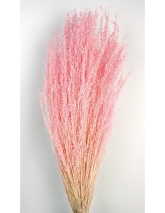 Star Grass Rosa Pastel 60cm...