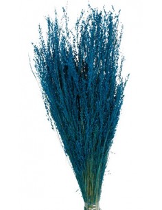 Star Grass Azul Mar 60cm 35g