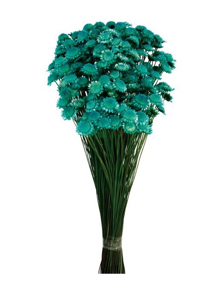 Margaret turquesa 85g