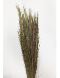 Broom Grass 100g natural 70cm