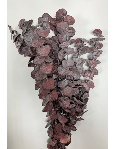 Eucalipto True Blue Burdeos 120g