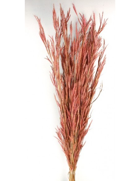 Bananal Rosa Vintage 100cm 250g