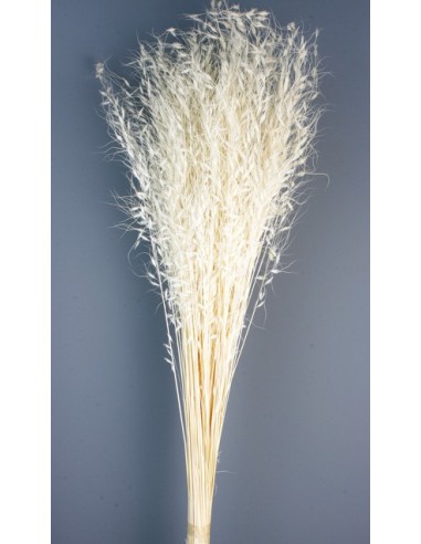 Princess Grass Crema 100cm