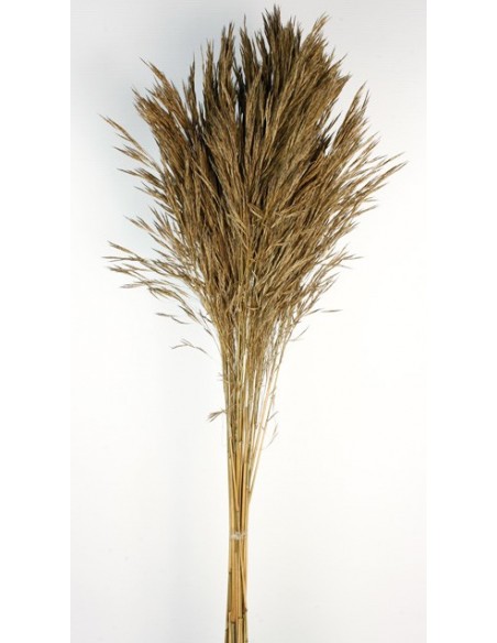 André Kise Natural 100cm