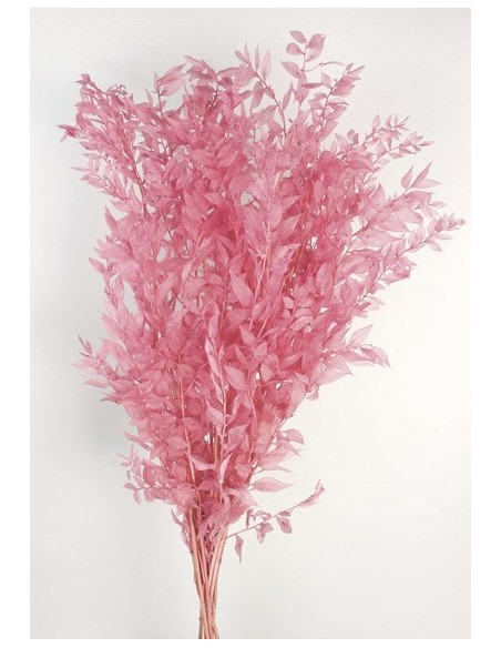 Ruscus Preservado Rosa Oscuro 150g