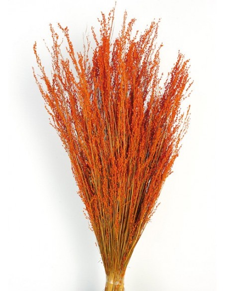 Star Grass Naranja Ocre 60cm 35g