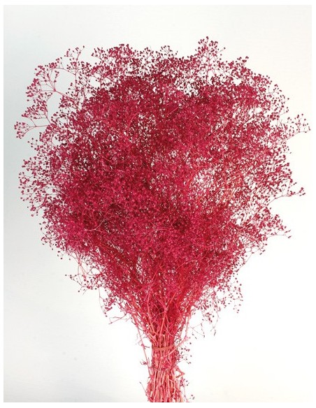 Gypsophila preservada mini Bouganvilla 100g