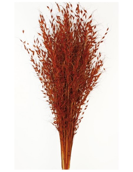 Princess Grass Marrón 100cm