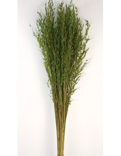 Princess Grass Verde 100cm