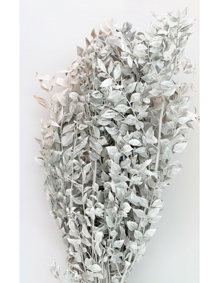 Ruscus Gris Claro Colección Vintage 200g