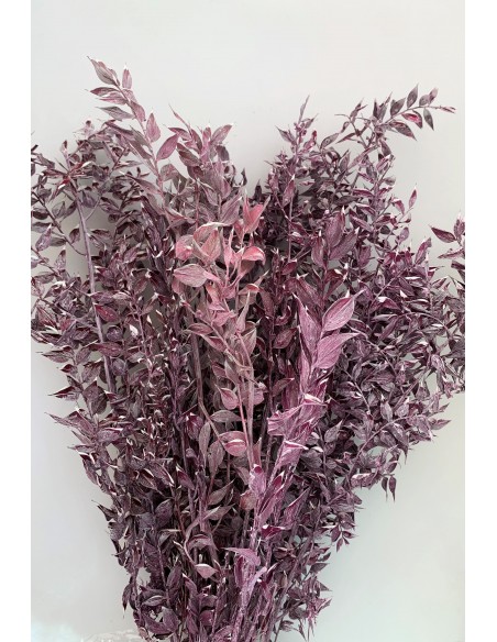 Ruscus Burdeos Colección Vintage 200g