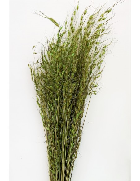 Princess Grass Verde 100cm