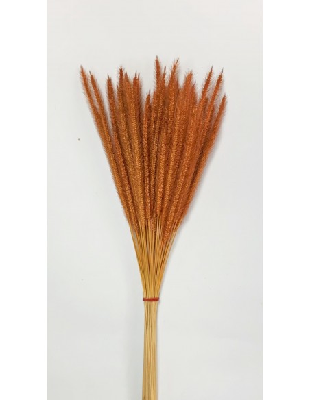 Soft Worms Grass Naranja ocre x80