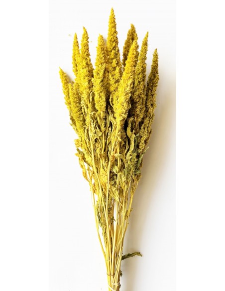 Amarantos Recto seco Amarillo 150g