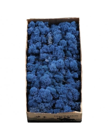 Musgo Finlandés Preservado Royal Blue 500g