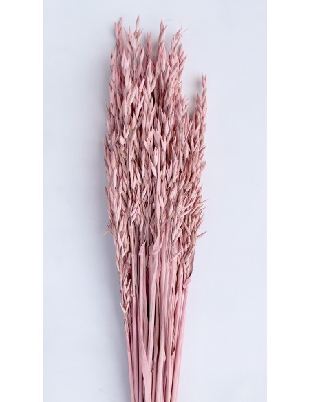 Avena Sativa Rosa Empolvado 200g