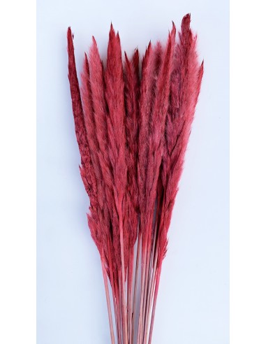 Plumero Reed Mini Rojo/Burdeos 30u 70cm