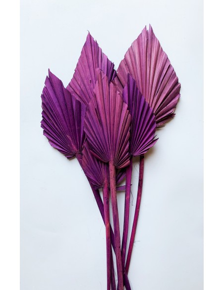 Palm Spear x6 Morado