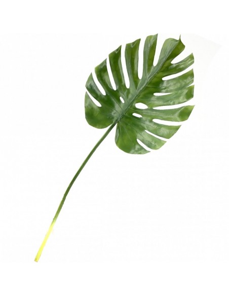 Hoja de Monstera