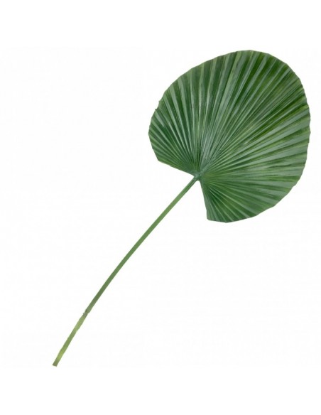 Hoja de Washingtonia Artificial Gigante verde oscuro