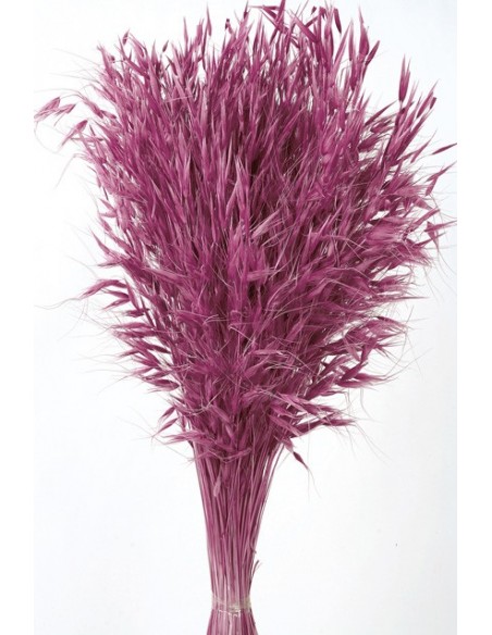 Avena Salvaje Rosa Fuerte 150g