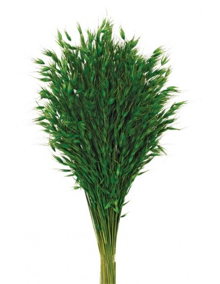 Avena Salvaje Verde 150g