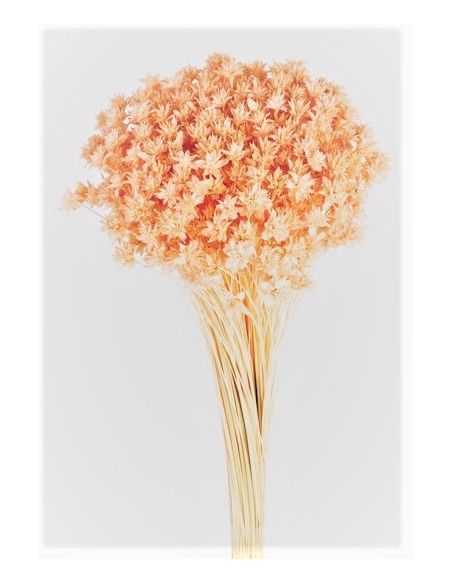 Hill Flower Color Salmón 45cm 100g