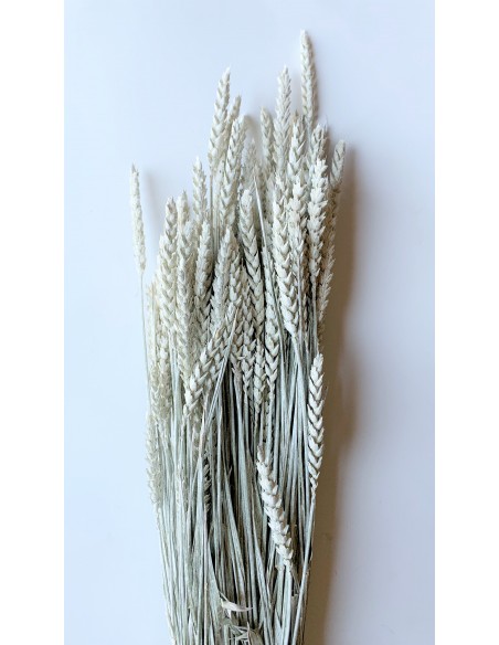 Ramillete De Trigo Flor Blanco Vintage 200g