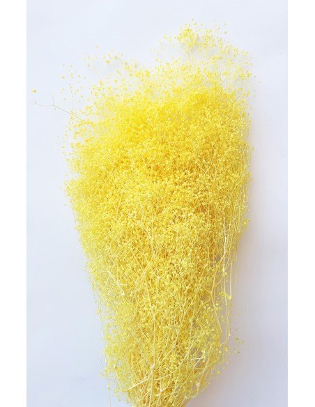 Gypsophila Preservada Mini Amarilla 100g